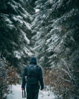 Day 13 🌲Embrace the chill with a warm thermos in hand as you wander through the enchanting winter woods. Sure, your blankets are calling, but the frosty air gifts us a stunning world just waiting to be explored. Let’s step out and appreciate the stark beauty of winter today!#ExploreWinter #NatureMagic